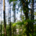 image: Image from the photoset &lsquo;belvaux (ii)&rsquo;.