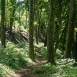 image: Image from the photoset &lsquo;belvaux (ii)&rsquo;.