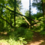 image: Image from the photoset &lsquo;belvaux (ii)&rsquo;.