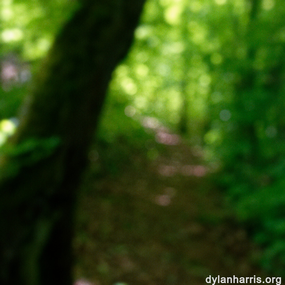 image: This is &lsquo;belvaux (iii) 2&rsquo;.