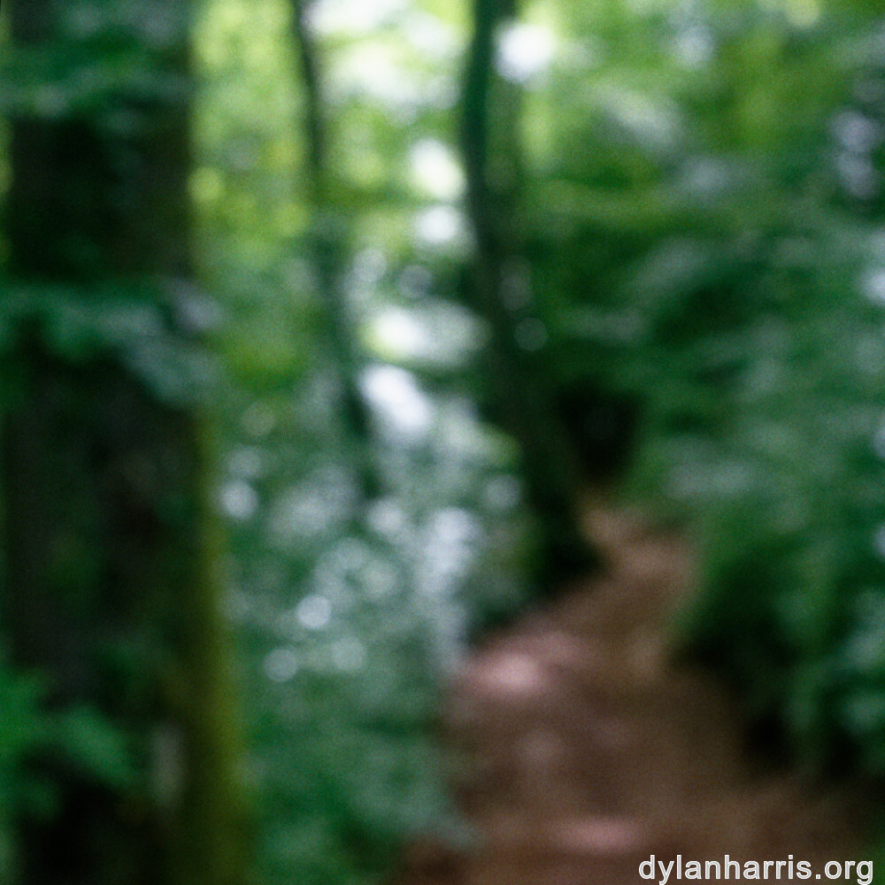 image: This is &lsquo;belvaux (iii) 5&rsquo;.