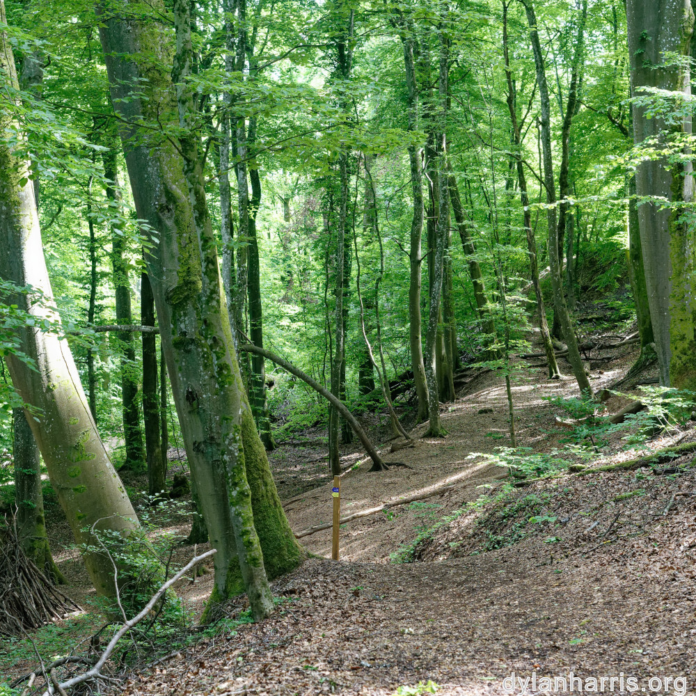 image: This is &lsquo;belvaux (iii) 6&rsquo;.