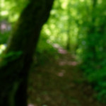 image: Image from the photoset &lsquo;belvaux (iii)&rsquo;.