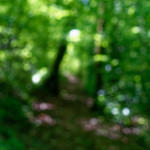 image: Image from the photoset &lsquo;belvaux (iii)&rsquo;.