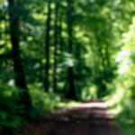 image: Image from the photoset &lsquo;belvaux (iii)&rsquo;.