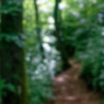 image: Image from the photoset &lsquo;belvaux (iii)&rsquo;.