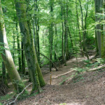 image: Image from the photoset &lsquo;belvaux (iii)&rsquo;.