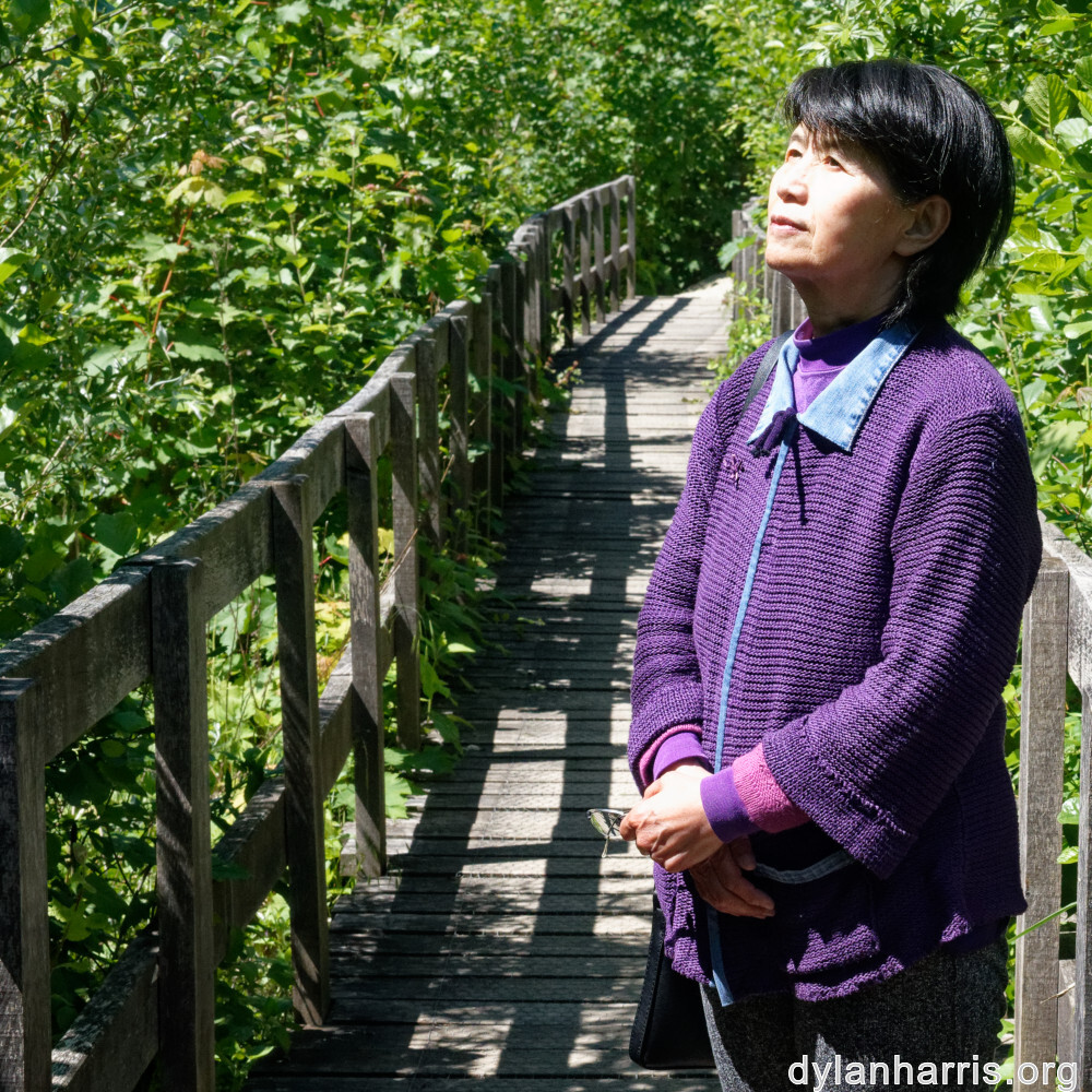 image: This is &lsquo;L (xxxi) 1&rsquo;.