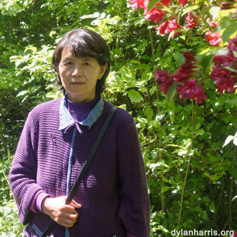 image: This is &lsquo;L (xxxi) 2&rsquo;.