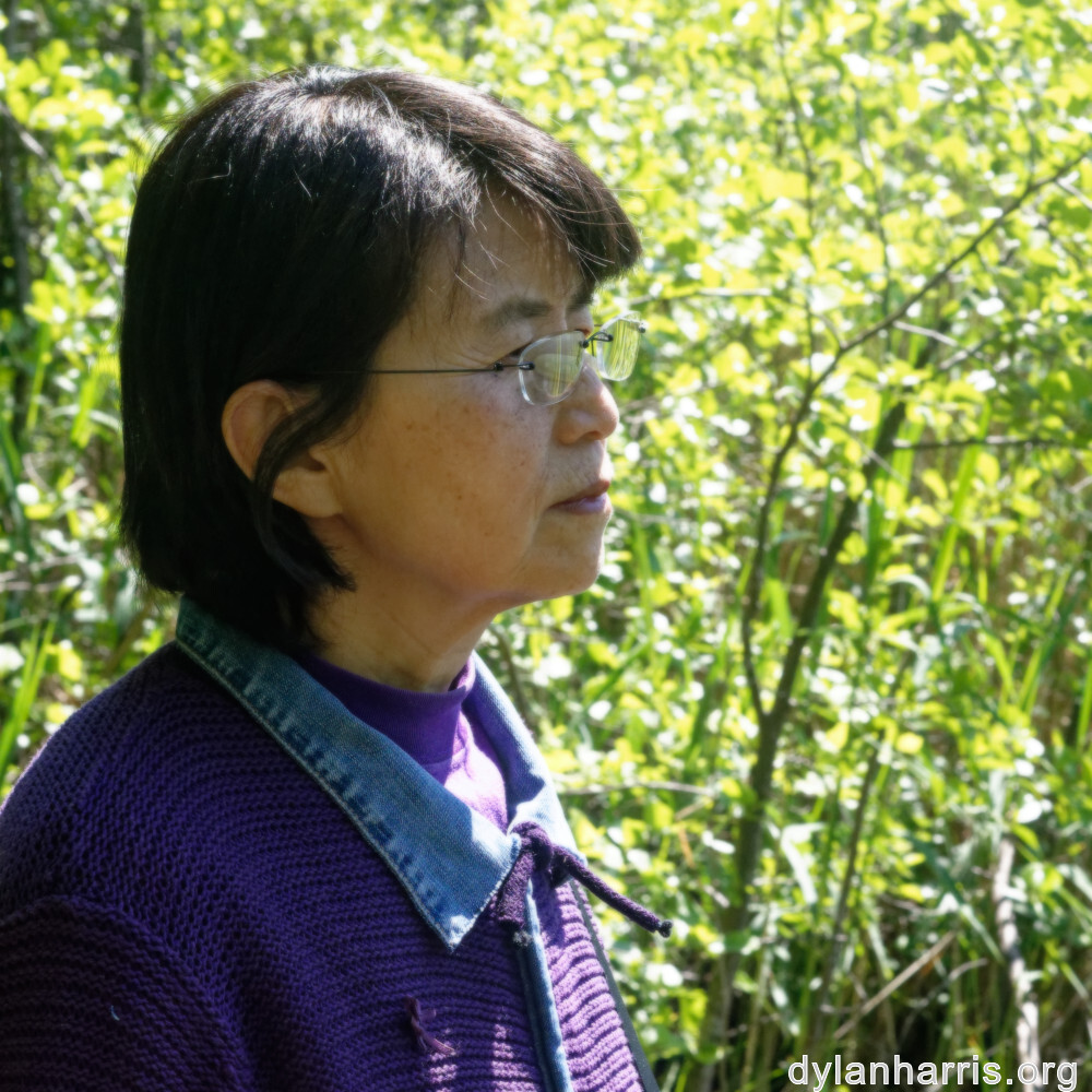 image: This is &lsquo;L (xxxi) 4&rsquo;.