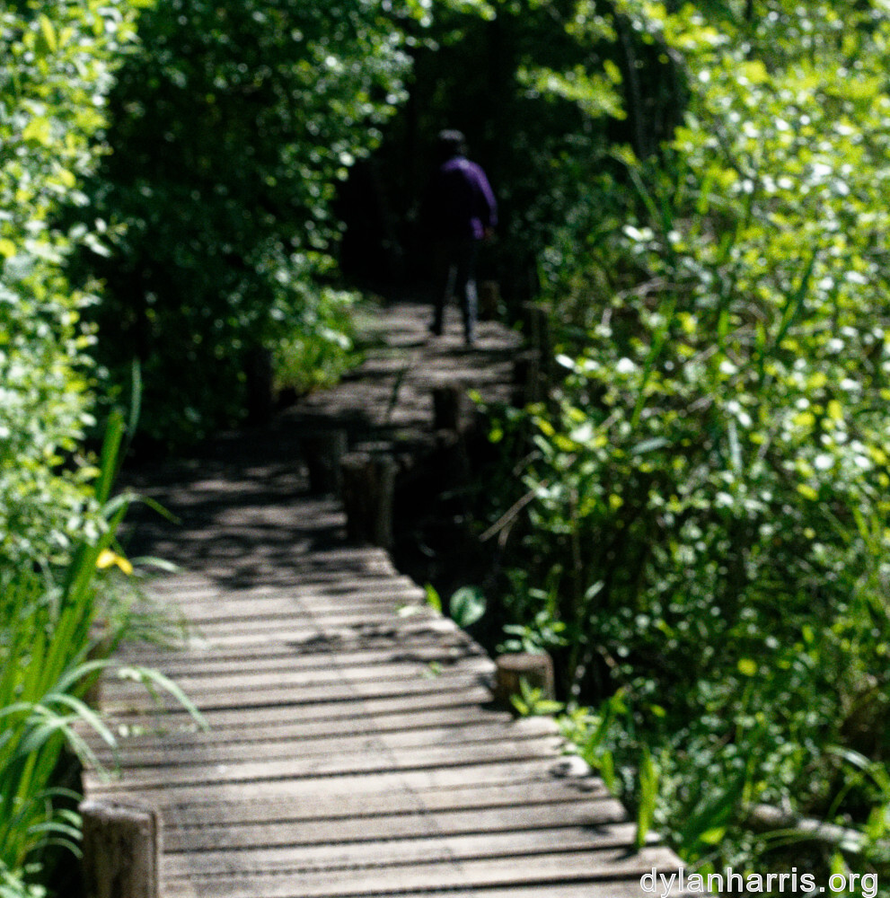 image: This is &lsquo;L (xxxi) 5&rsquo;.