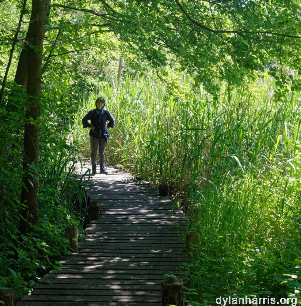 image: This is &lsquo;L (xxxi) &rsquo;.