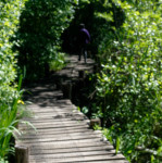 image: Image from the photoset &lsquo;L (xxxi)&rsquo;.