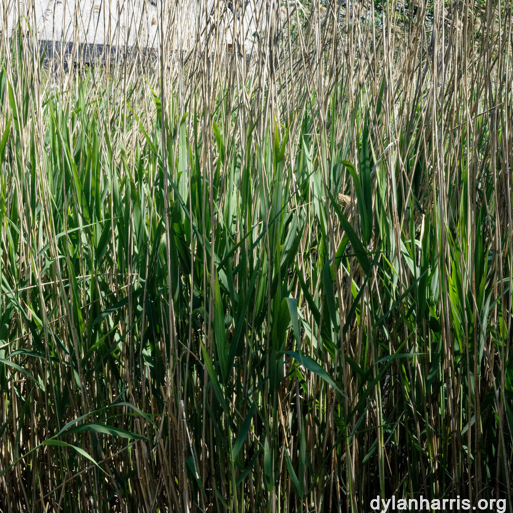 image: This is &lsquo;schengen (i) 1&rsquo;.