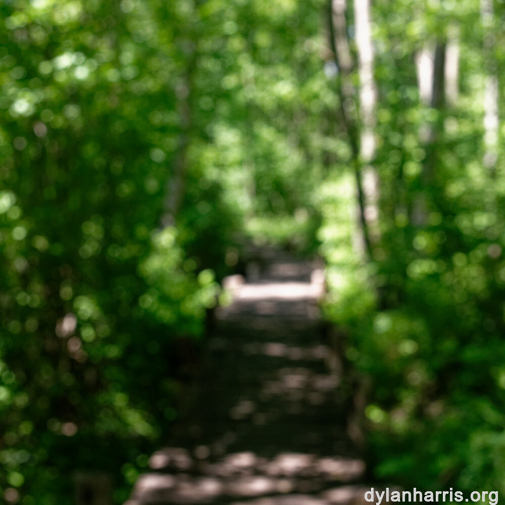 image: This is &lsquo;schengen (i) 4&rsquo;.