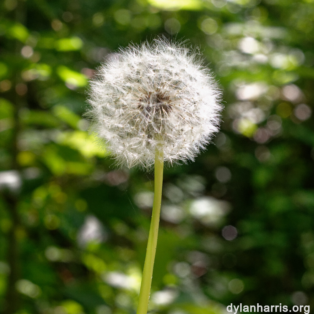 image: This is &lsquo;schengen (i) 5&rsquo;.