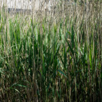 image: Image from the photoset &lsquo;schengen (i)&rsquo;.