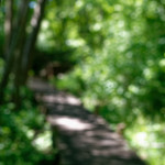 image: Image from the photoset &lsquo;schengen (i)&rsquo;.