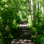 image: Image from the photoset &lsquo;schengen (i)&rsquo;.