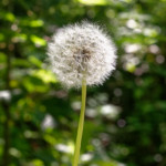 image: Image from the photoset &lsquo;schengen (i)&rsquo;.