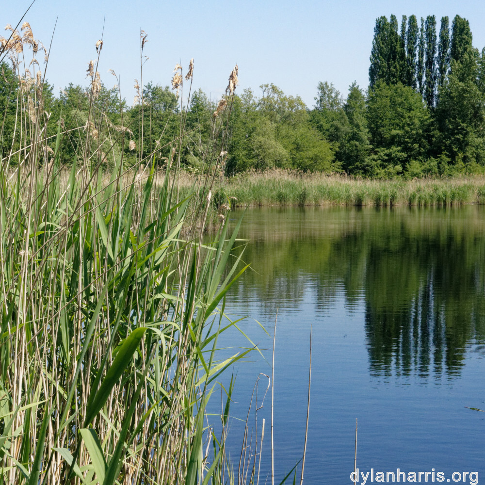 image: This is &lsquo;schengen (ii) 1&rsquo;.