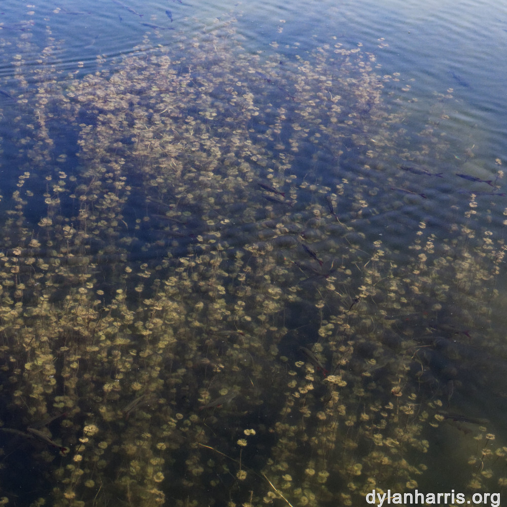 image: This is &lsquo;schengen (ii) 2&rsquo;.