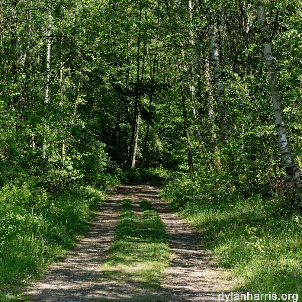 image: This is &lsquo;schengen (ii) 3&rsquo;.