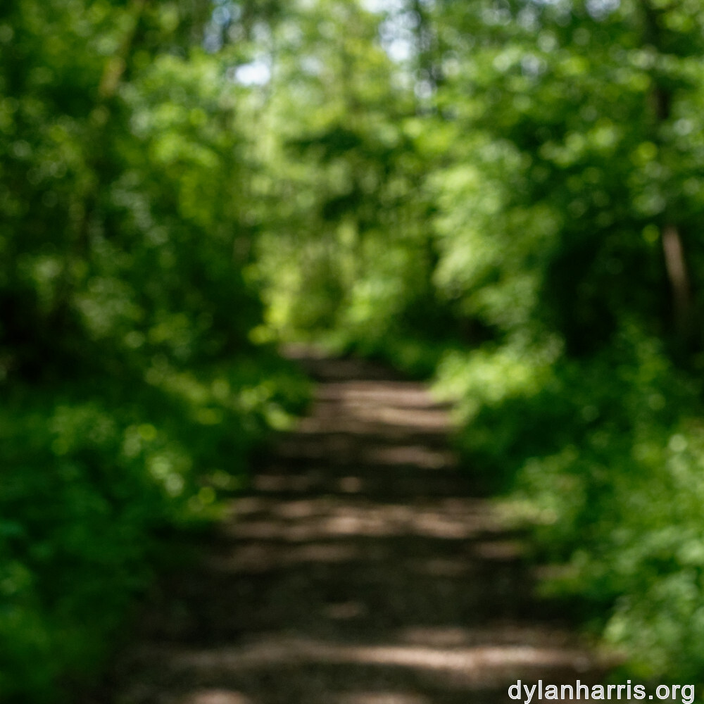 image: This is &lsquo;schengen (ii) 4&rsquo;.