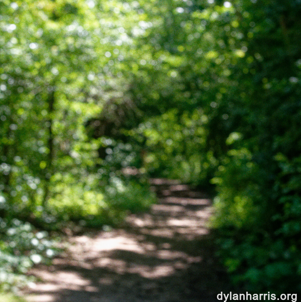 image: This is &lsquo;schengen (ii) 5&rsquo;.