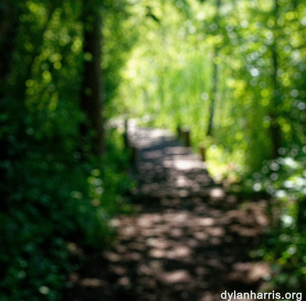 image: This is &lsquo;schengen (ii) 6&rsquo;.