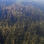 image: Image from the photoset &lsquo;schengen (ii)&rsquo;.