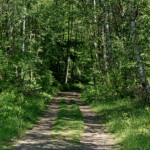 image: Image from the photoset &lsquo;schengen (ii)&rsquo;.