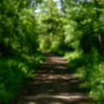 image: Image from the photoset &lsquo;schengen (ii)&rsquo;.