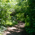 image: Image from the photoset &lsquo;schengen (ii)&rsquo;.