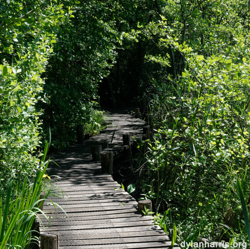 image: This is &lsquo;schengen (iii) 1&rsquo;.