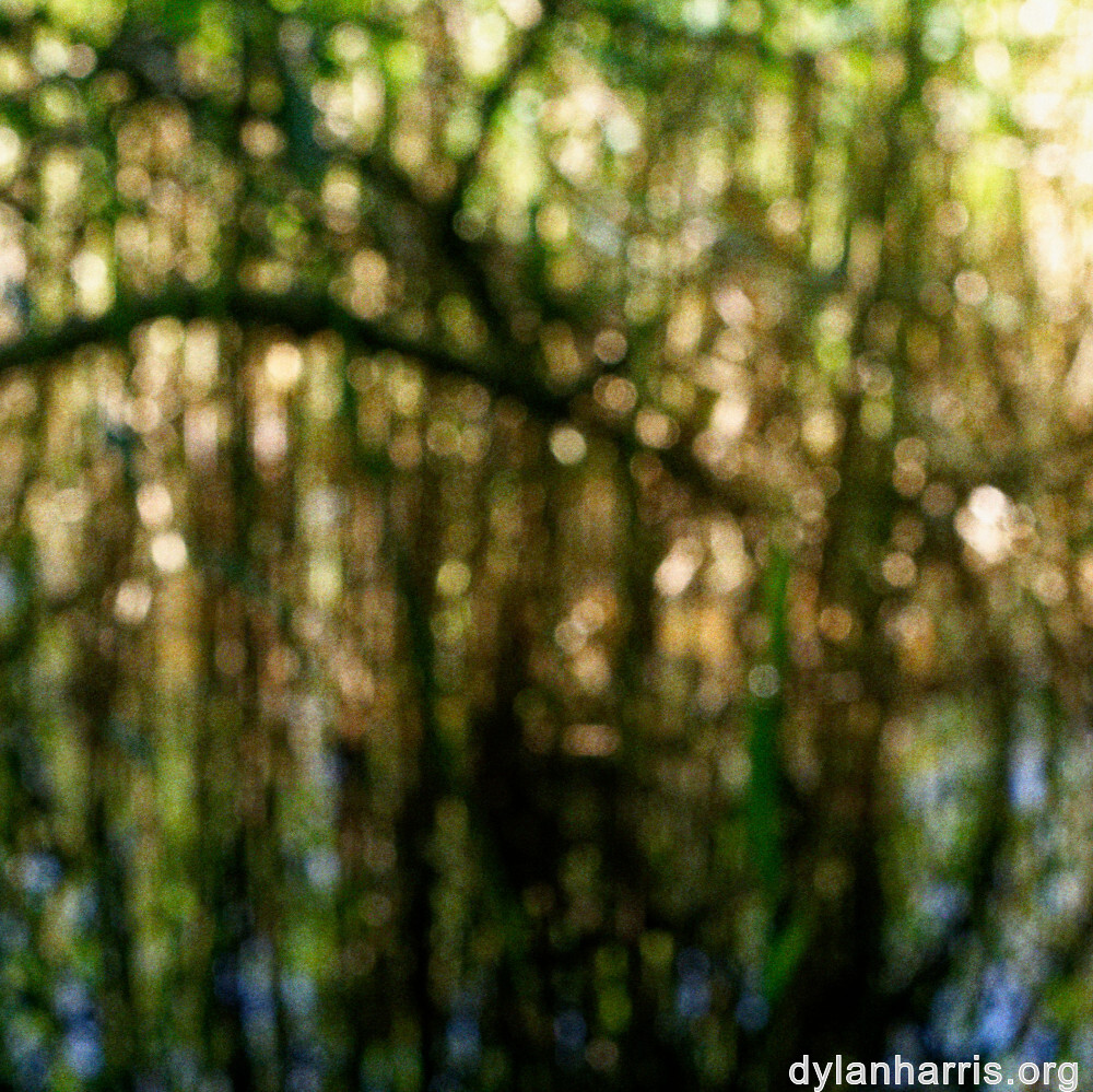 image: This is &lsquo;schengen (iii) 2&rsquo;.