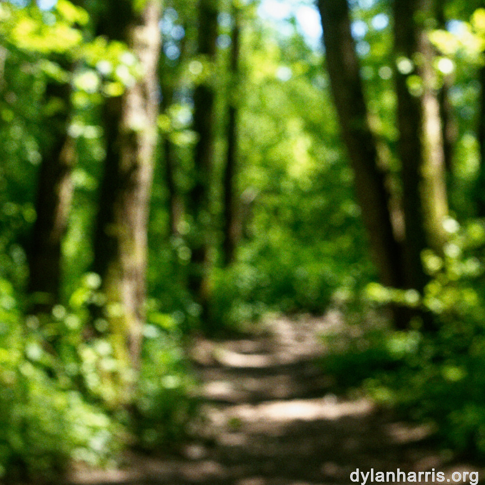 image: This is &lsquo;schengen (iii) 3&rsquo;.