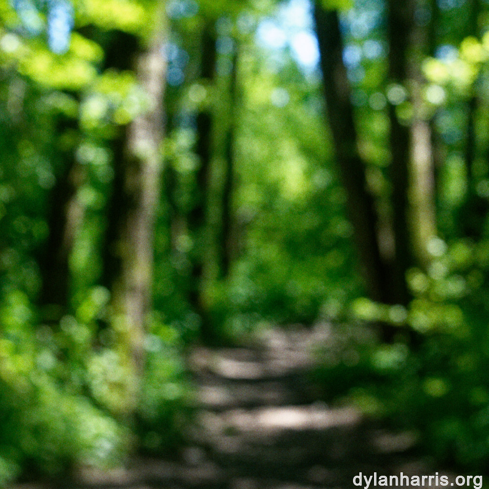 image: This is &lsquo;schengen (iii) 4&rsquo;.