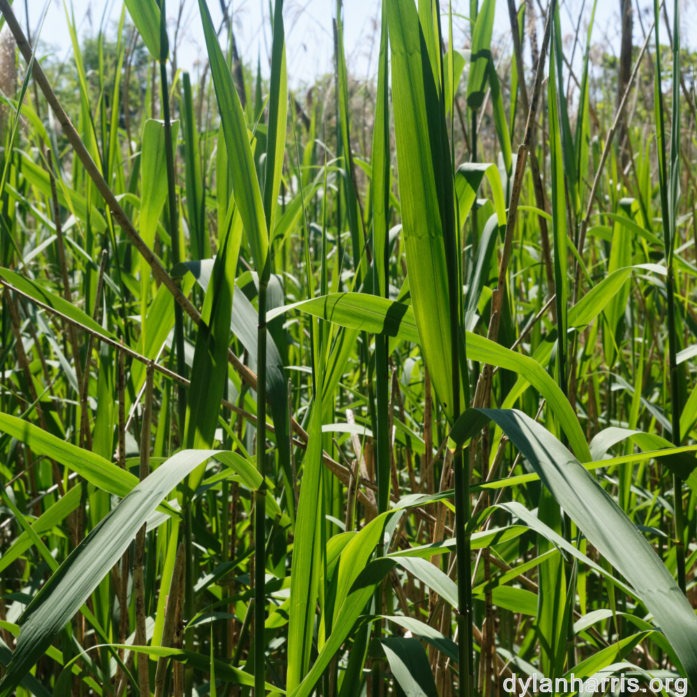 image: This is &lsquo;schengen (iii) 5&rsquo;.