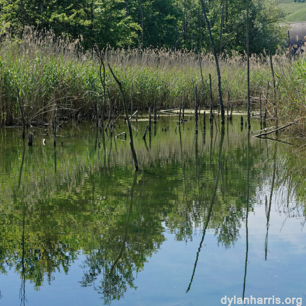 image: This is &lsquo;schengen (iii) 6&rsquo;.