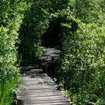 image: Image from the photoset &lsquo;schengen (iii)&rsquo;.