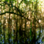 image: Image from the photoset &lsquo;schengen (iii)&rsquo;.