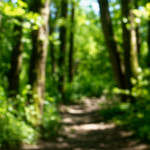 image: Image from the photoset &lsquo;schengen (iii)&rsquo;.