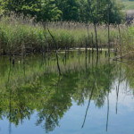 image: Image from the photoset &lsquo;schengen (iii)&rsquo;.