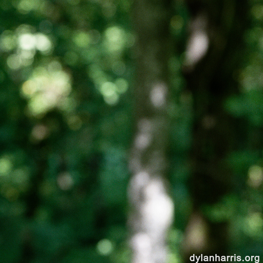 image: This is &lsquo;belvaux (iv) 2&rsquo;.