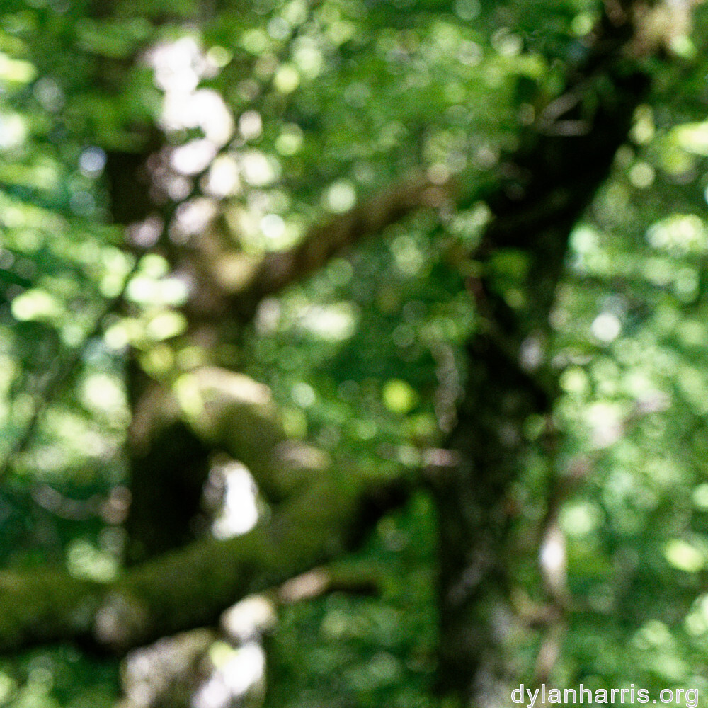 image: This is &lsquo;belvaux (iv) 3&rsquo;.