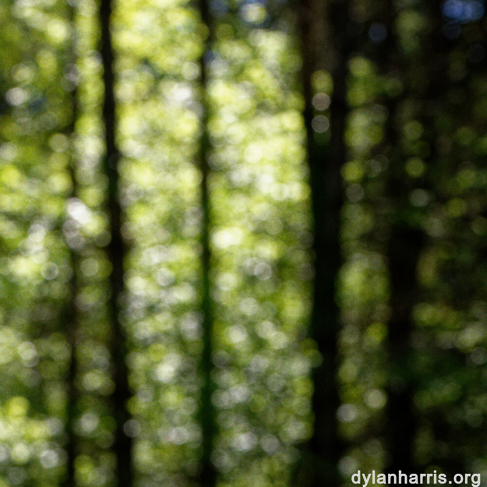 image: This is &lsquo;belvaux (iv) 6&rsquo;.