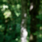 image: Image from the photoset &lsquo;belvaux (iv)&rsquo;.