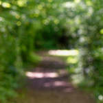 image: Image from the photoset &lsquo;belvaux (iv)&rsquo;.