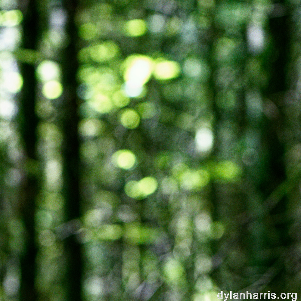 image: This is &lsquo;belvaux (v) 1&rsquo;.